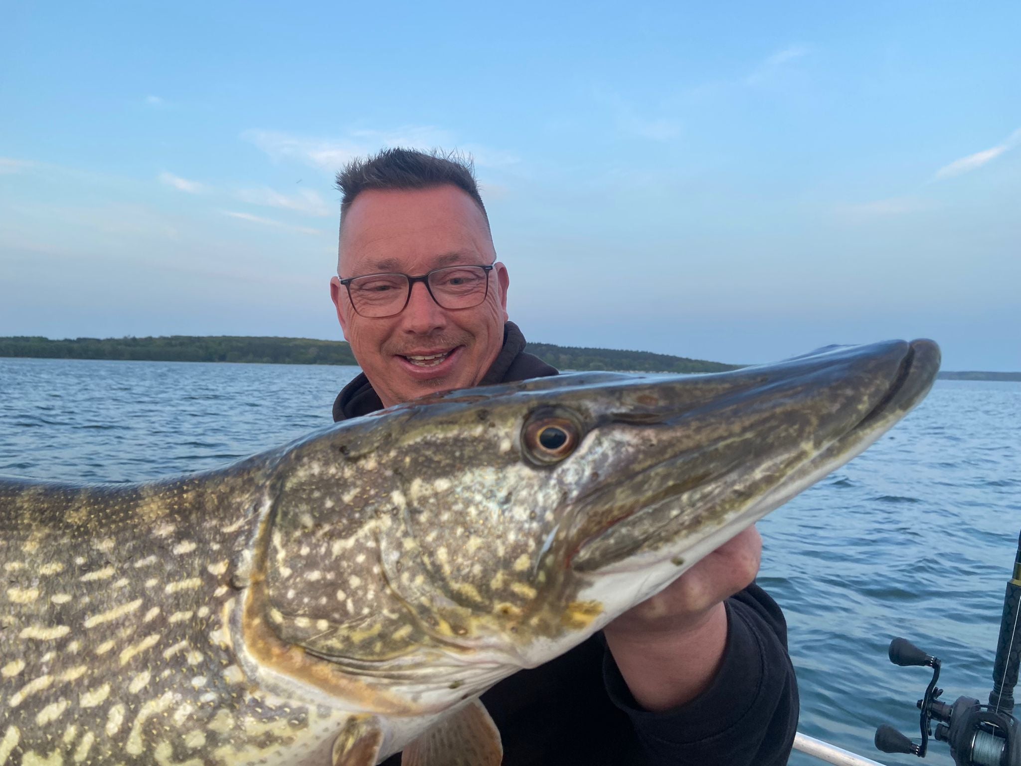 Hell Shad Paddler 30cm