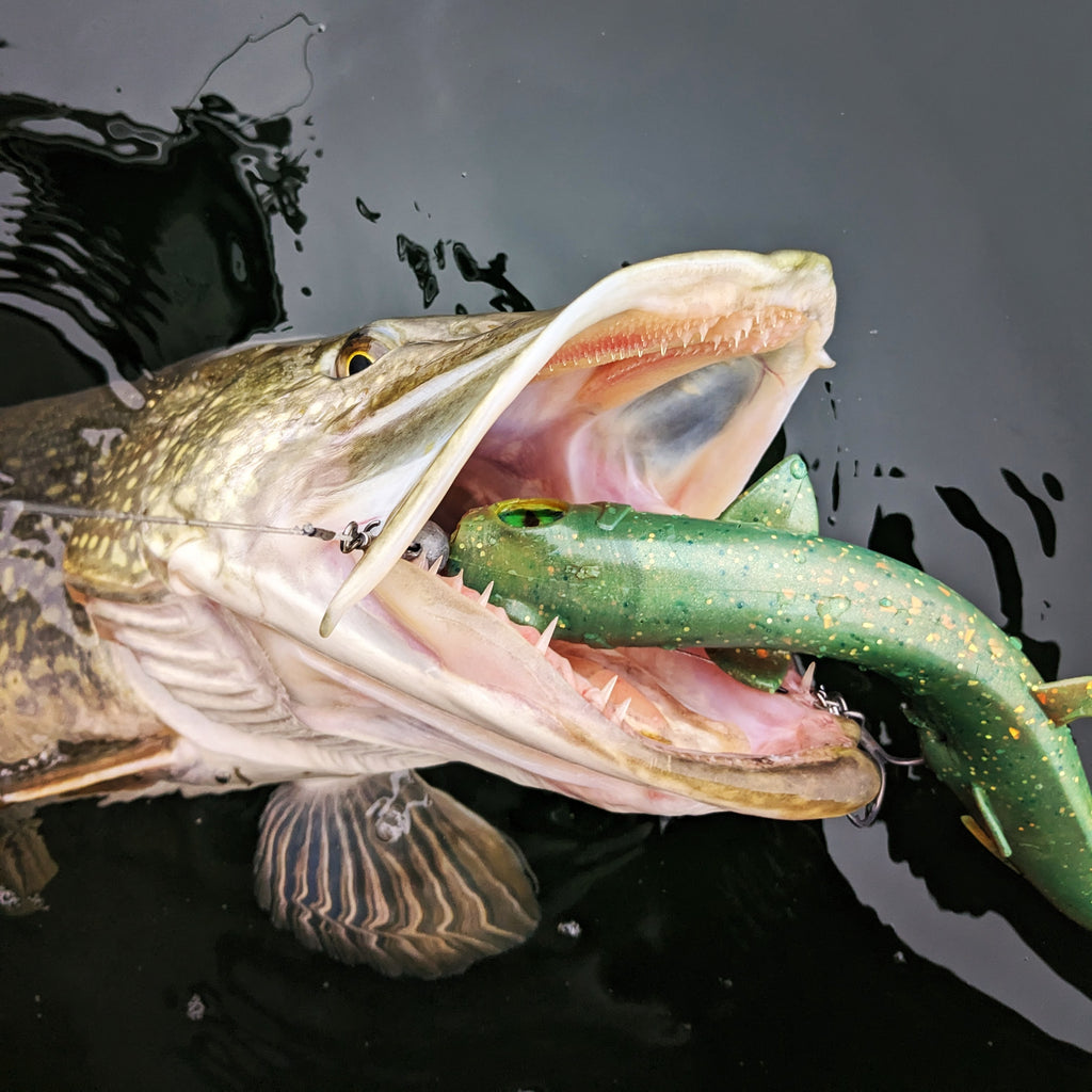 Hell Shad Paddler 30cm